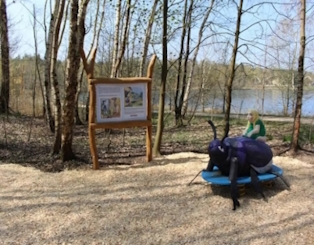 Umgebung
